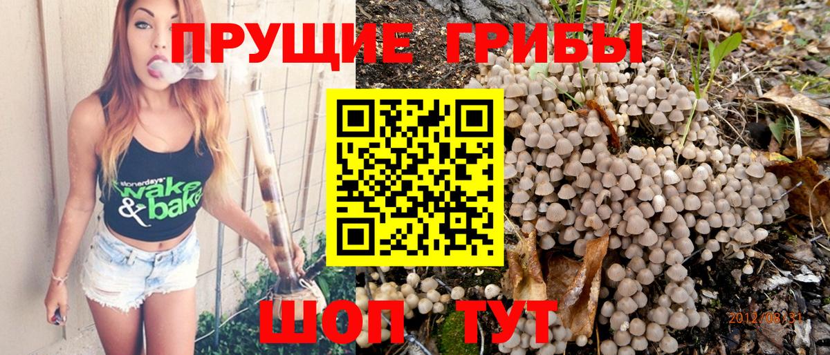 Галлюциногенные грибы прущие грибы Гулькевичи