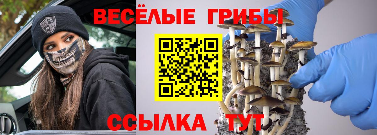 Гулькевичи  Галлюциногенные грибы Psilocybine cubensis  Вход с VPN 
